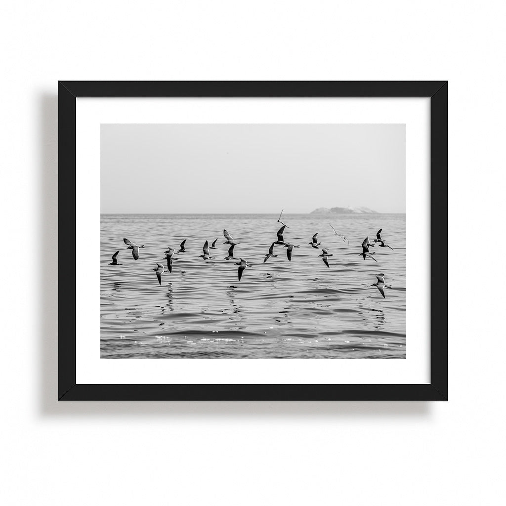 Seascapes & Water