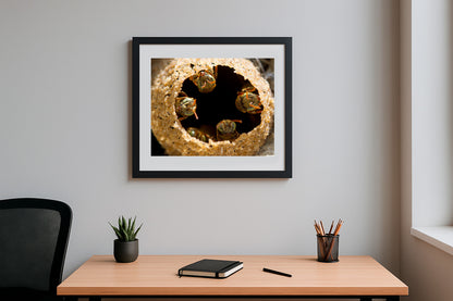 Guardians of the Golden Hive
