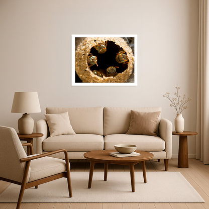 Guardians of the Golden Hive