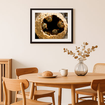 Guardians of the Golden Hive